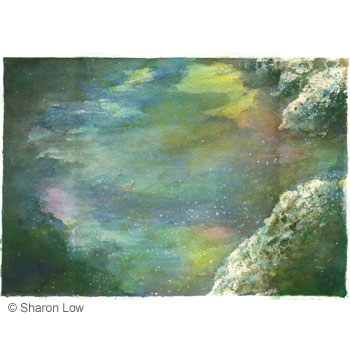 Rockpool study - Watercolour on paper by Sharon Low